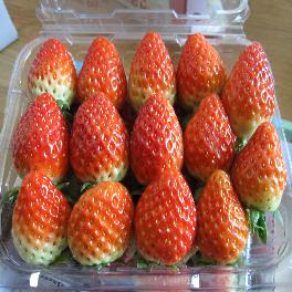 STRAWBERRY