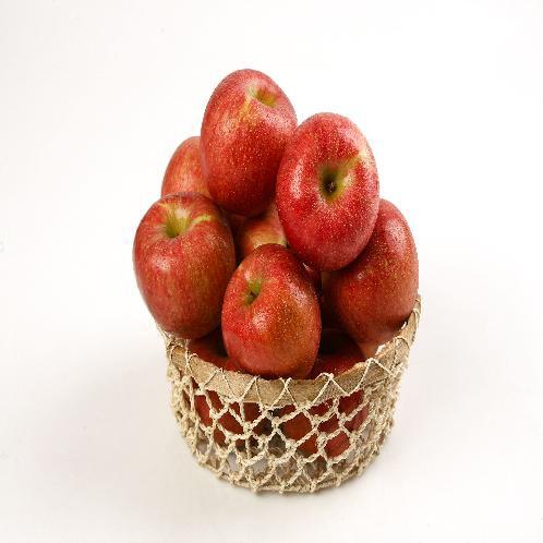 (Fuji) Korean fresh apple