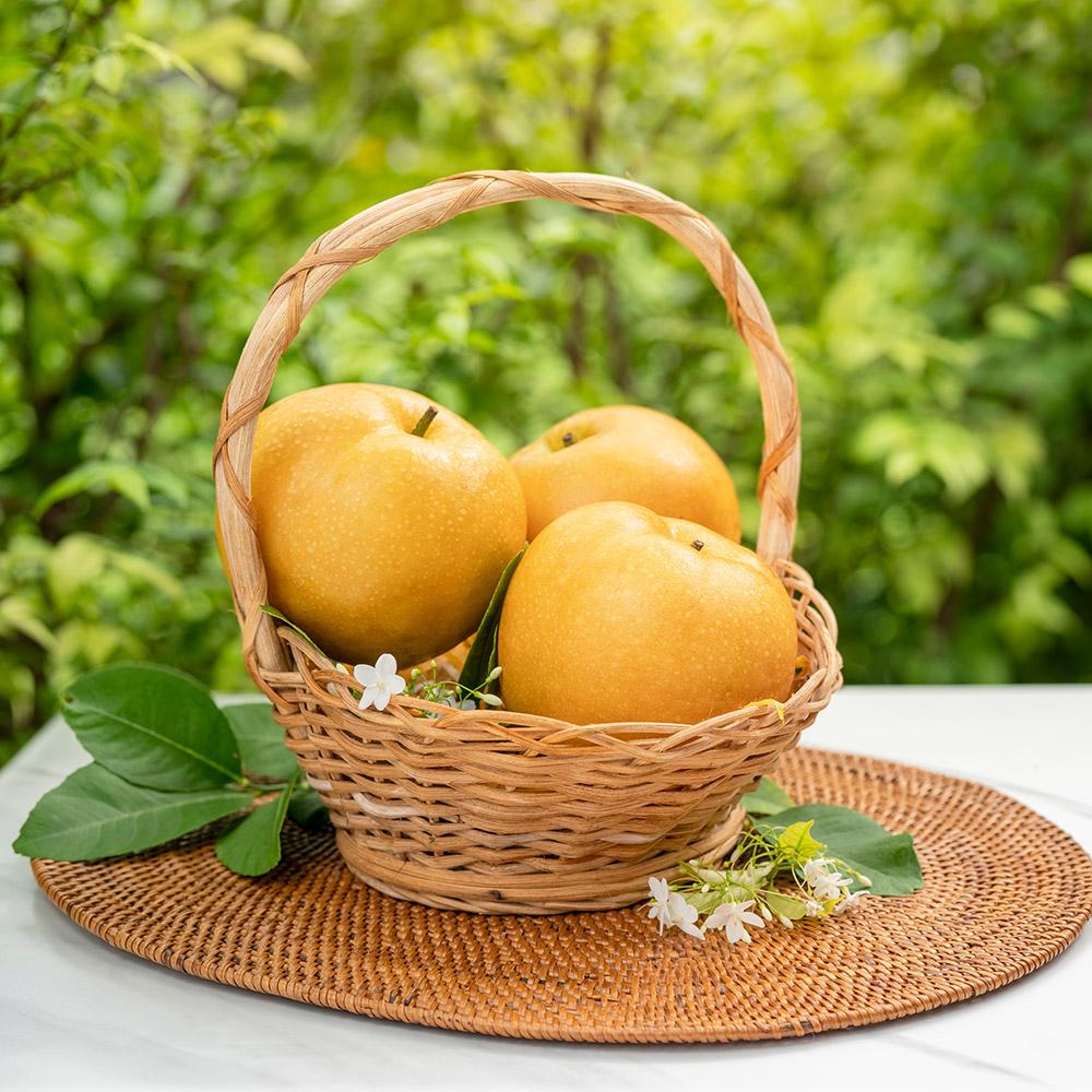 (Singo) Korean fresh pear
