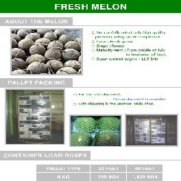 Korean Fresh Melon