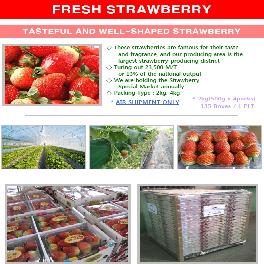 Korean Fresh Strawberry
