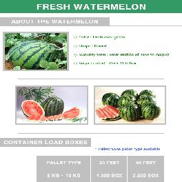 Korean Fresh Watermelon