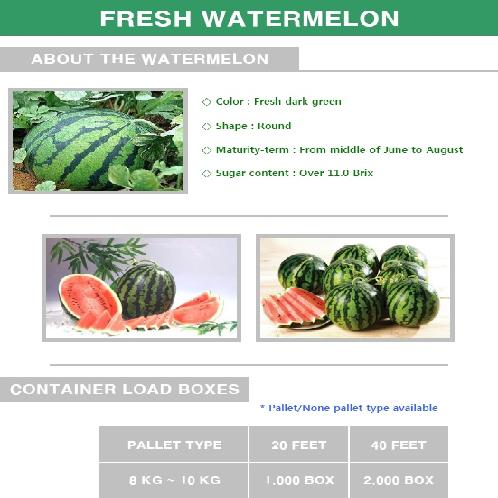 Korean Fresh Watermelon
