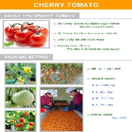 Korean Fresh Cherry Tomato