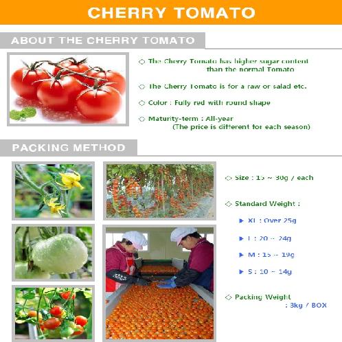 Korean Fresh Cherry Tomato