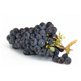 Fresh Grapes (Kyoho, Campbell, Shine Muscat)