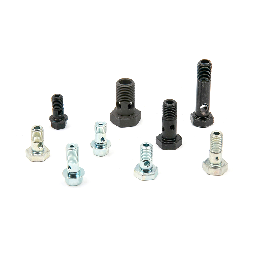 Bolt for Turbocharger